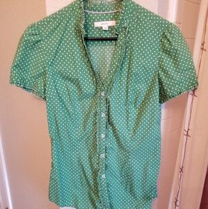Button up dress shirt